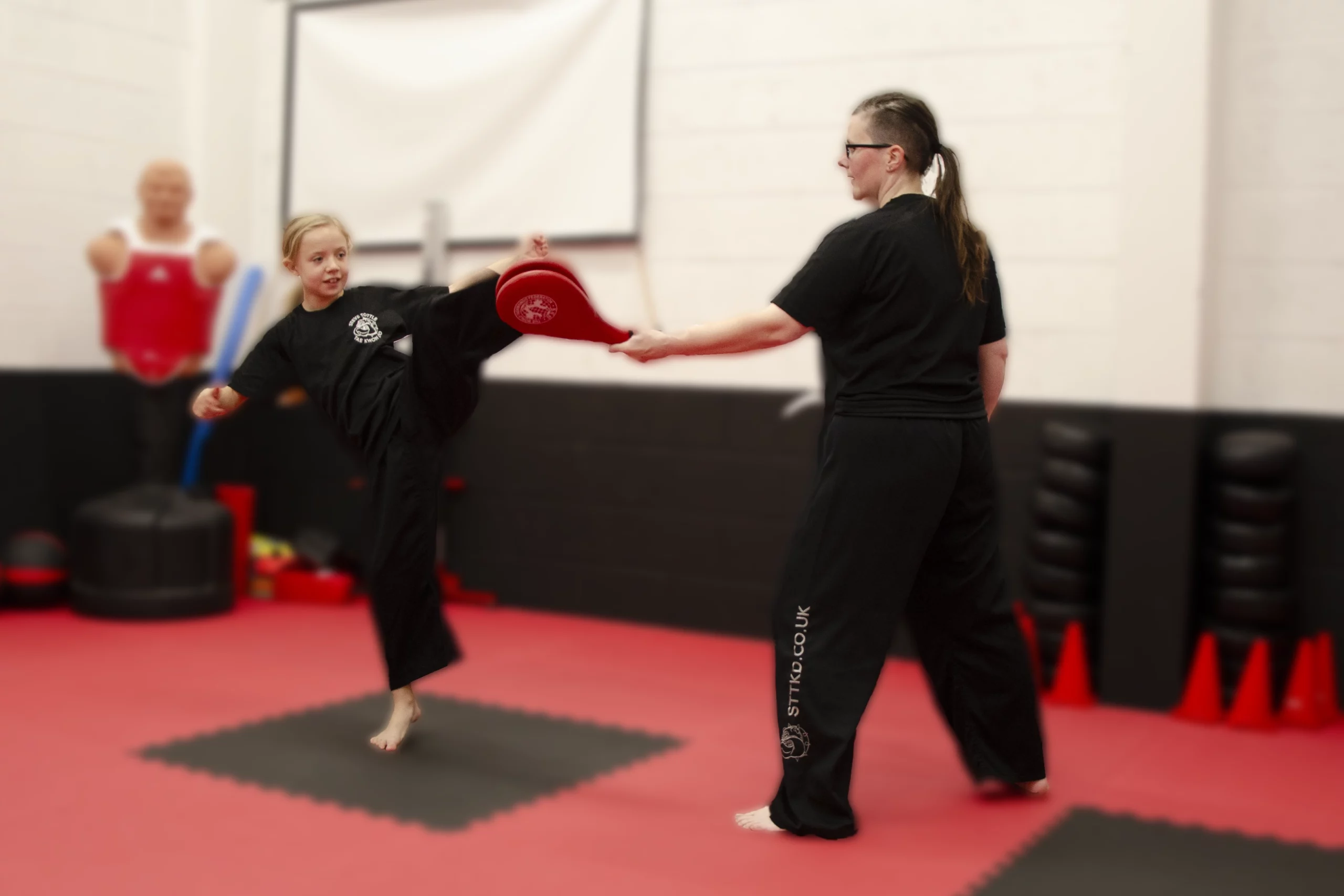 //pontycluntigers.co.uk/wp-content/uploads/2018/02/family-tkd-scaled.webp